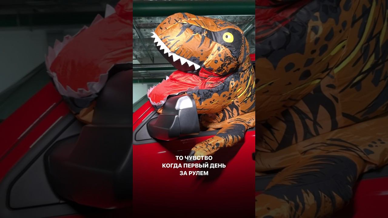 Когда первый день за рулём #americanauto #автоизсша #американавто #автоизевропы смотреть онлайн