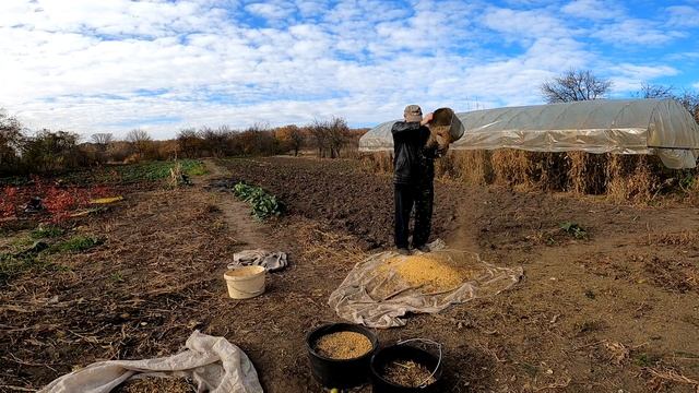 Как отделить от сои примеси? Ничего нового смотреть онлайн