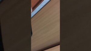 Сучкорез телескопический  Skrab 28026