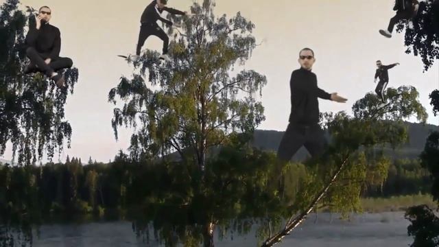 Почему нельзя сажать березу возле дома смотреть онлайн