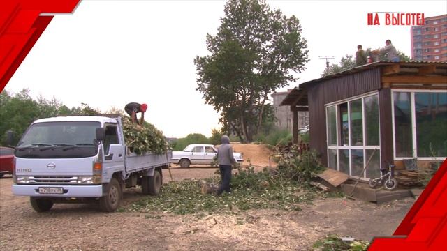 Вырубка деревьев на берегу Ушаковки в Предместье Рабочее смотреть онлайн