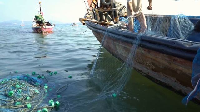 Самые Странные Существа, Выброшенные на Берег смотреть онлайн