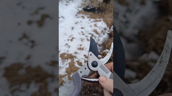 Обзор секатор Samurai ks-8t japan