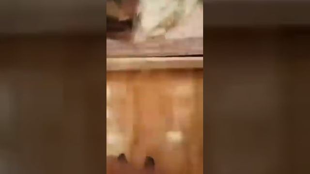 Как делать кувырок ? смотреть онлайн