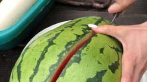 Арбуз 😋 Вырастил сам ! На Дальнем Востоке