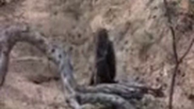 # home.php ref=home3.3gp смотреть онлайн