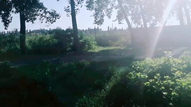 ?Городской пляж.. река Кубань.. ?Краснодар смотреть онлайн