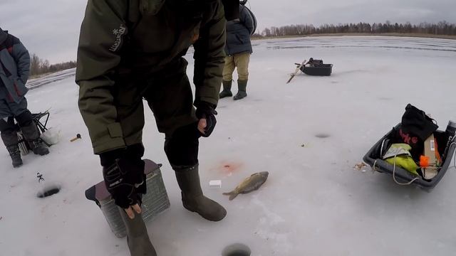 Этот МЕТОД ловит ПАССИВОНОГО КАРПА зимой, Ловля карпа зимой, Карп зимой, Карп смотреть онлайн