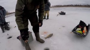 Этот МЕТОД ловит ПАССИВОНОГО КАРПА зимой, Ловля карпа зимой, Карп зимой, Карп