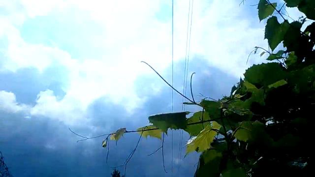 Мужчины играют в футбол)))).