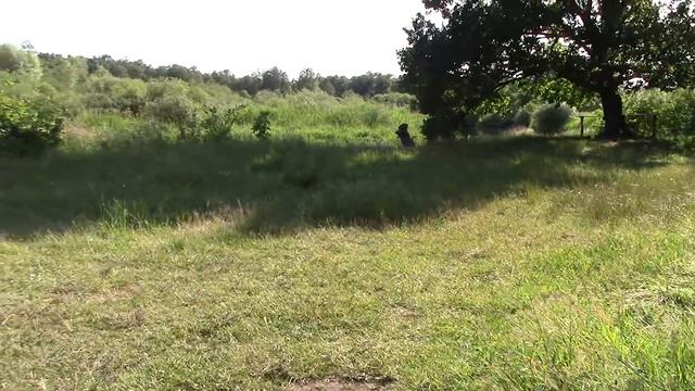 Не зная этого секрета 90% ферментируют чай неправильно! Нашел СКАЗОЧНОЕ МЕСТО на мотоцикле! смотреть онлайн