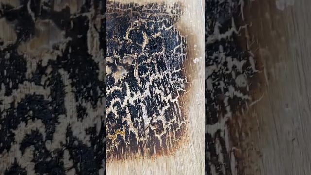 Дом у Анны кварц винил смотреть онлайн