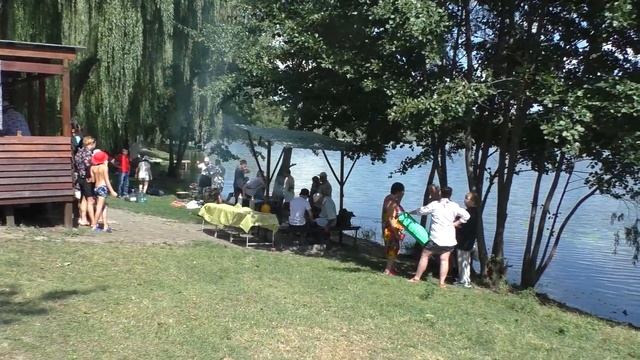 Еду в Харьков на встречу с друзьями-единомышленниками | Скорняковы смотреть онлайн