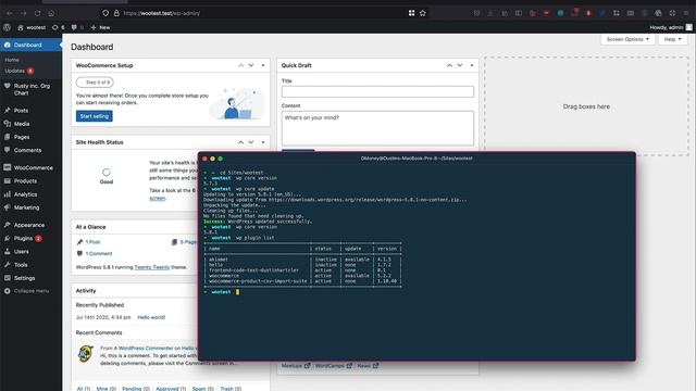 The Benefits of Managing Your WordPress Site with WP CLI смотреть онлайн