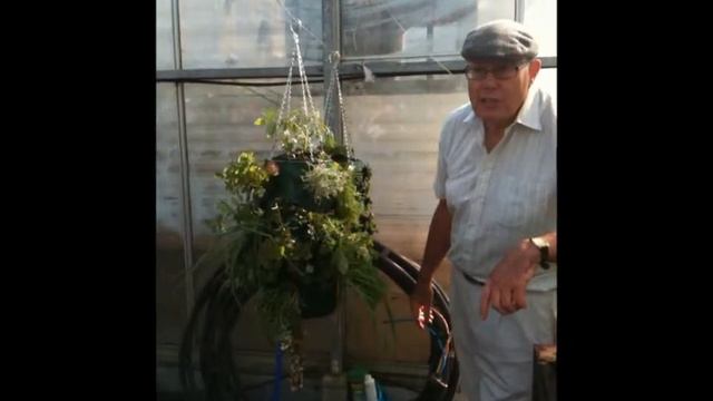 Paradise Planter: Make a herb garden with the Paradise Planter смотреть онлайн