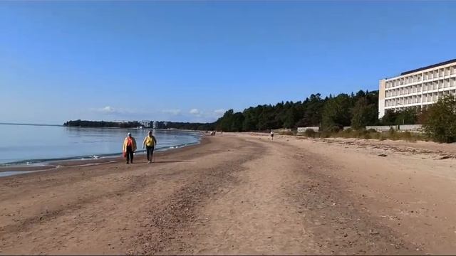 Репино.Усадьба "Пенаты"/Фрейлинская "Наша Дача"-красивый ресторан на заливе!Пляжи Курортного района смотреть онлайн