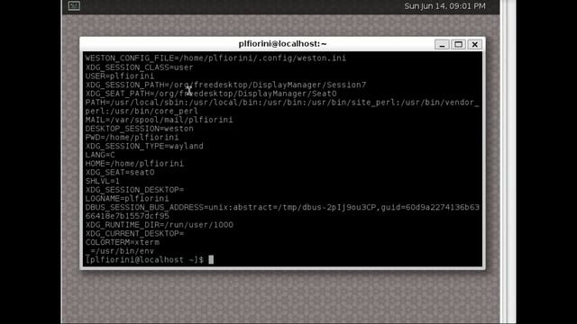 Wayland session on SDDM смотреть онлайн