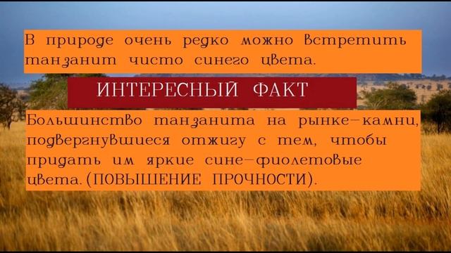 Танзанит Свойства камня/В чем главный секрет танзанита/Танзаниты: драгоценные камни Танзании смотреть онлайн