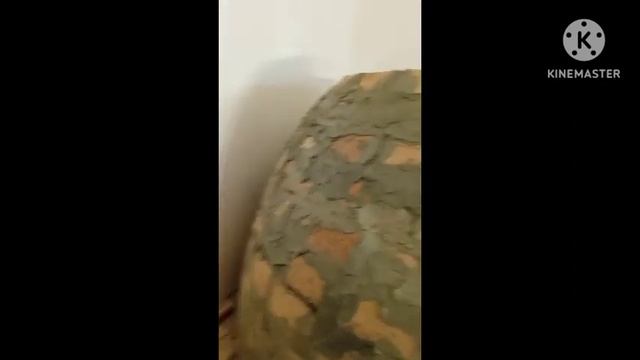 пицца печь в двойном куполе смотреть онлайн