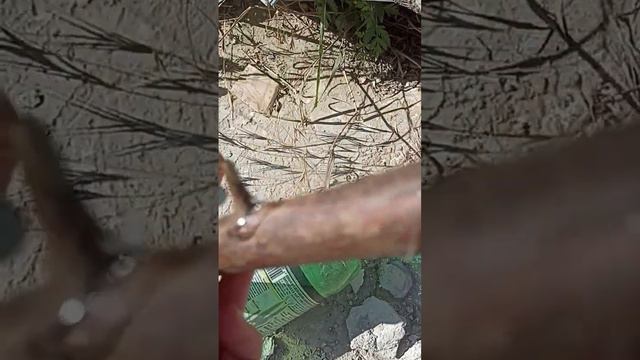 #кайф #рыбалочка #fishing #ростов #рыбалка #fish #окунь #судак #сом #carpfishing смотреть онлайн