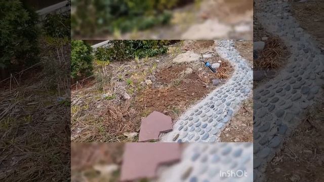 Посадка сибирских ирисов. смотреть онлайн