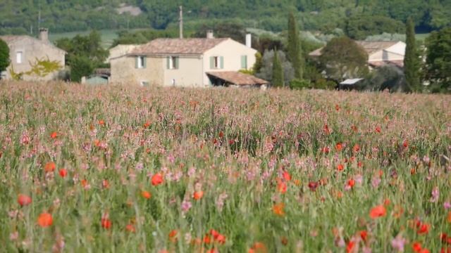 Вердонское ущелье (Gorges du Verdon) смотреть онлайн
