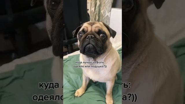 как заставить Настю выйти на улицу : смотреть онлайн