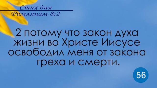 Тефиллин. Римлянам 8:2. Повторение стихов 100 раз смотреть онлайн