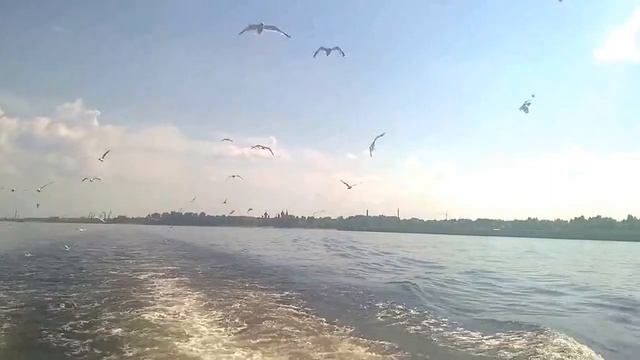 Кожаный олень - Люби себя люби смотреть онлайн