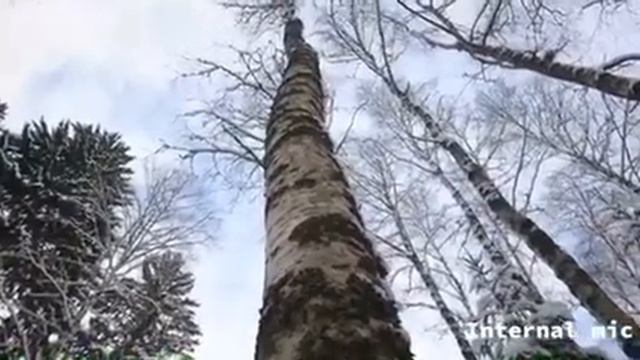 mikrofon BOYA mm 1 test смотреть онлайн