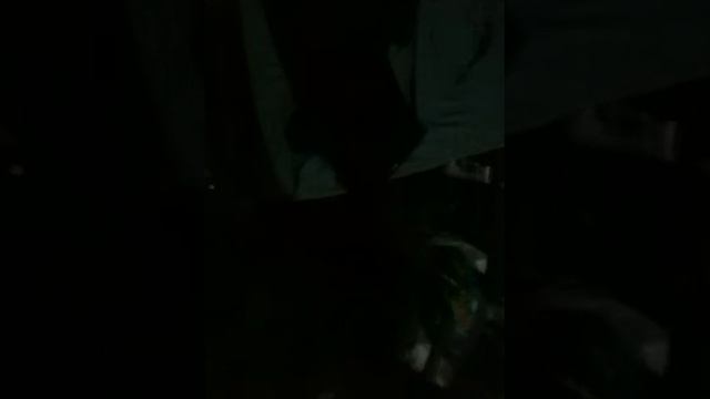 toasty pockets смотреть онлайн