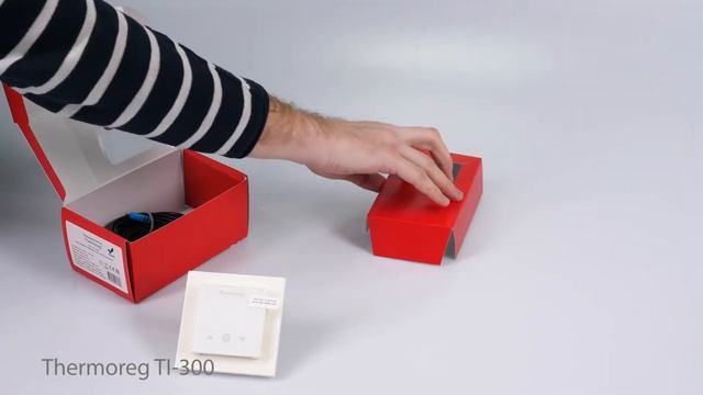 Терморегулятор Thermoreg TI-300