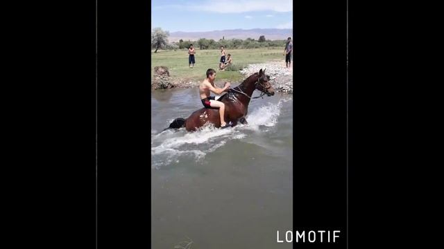 Конь по имени ШЕРХАН смотреть онлайн