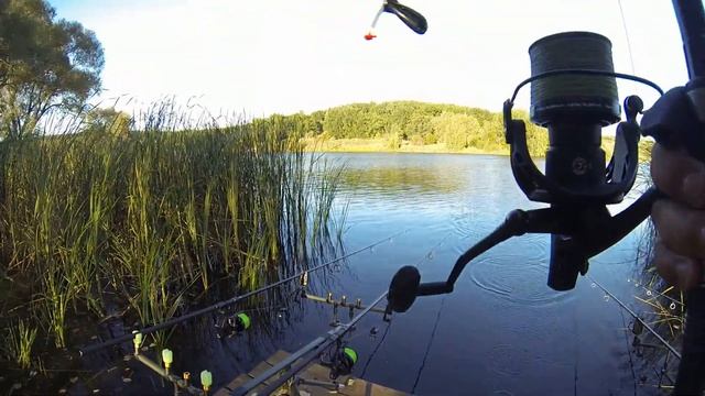 КРЕЩЕНСКИЙ КАРП СЕНТЯБРЬ 2022.рыбалка в Крещенке Липецкая область смотреть онлайн