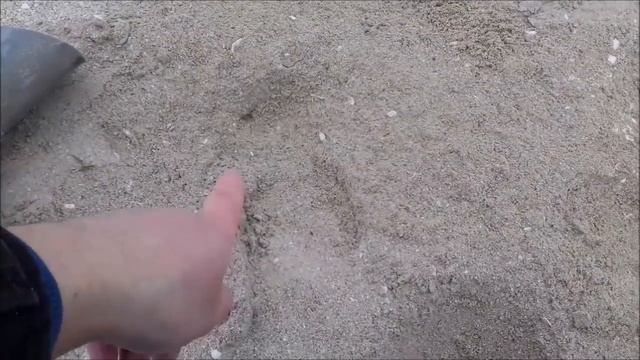 Самый удачный пляжный коп в 2017 году! Есть все! И золото и серебро! смотреть онлайн