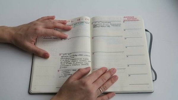 BULLET JOURNAL за 2017 год | Обзор с самого начала | КАК Я ВЕДУ ЕЖЕДНЕВНИК?