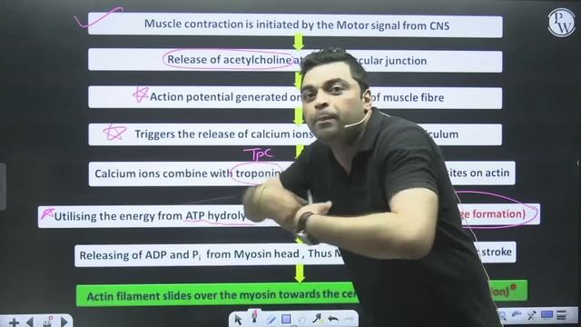MOVEMENT AND LOCOMOTION in 70 minutes || Complete Chapter for NEET смотреть онлайн