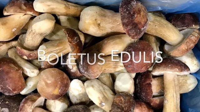 Frozen Boletus edulis Aleramica Funghi season 2017 смотреть онлайн