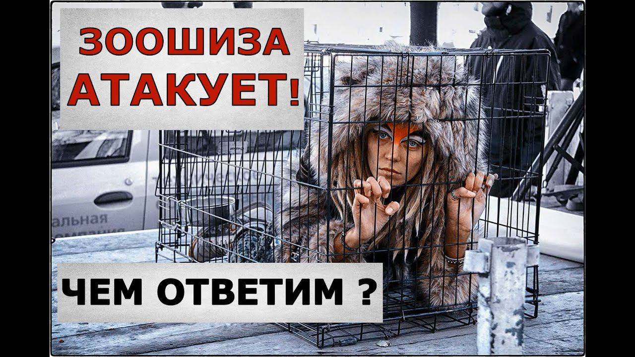 "Зоошиза"- атакует! Чем ответим псих-защитникам животных? смотреть онлайн