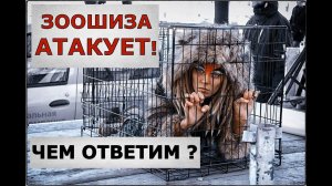 "Зоошиза"- атакует! Чем ответим псих-защитникам животных?