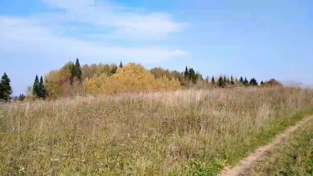 Путь шествующий.Экскурсия по деревне. Гора Шолом. смотреть онлайн