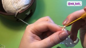 Бактус «Гербера»