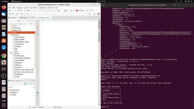 Docker - Section 6: Run and Upgrade Oracle DB, MySQL DB with Docker смотреть онлайн