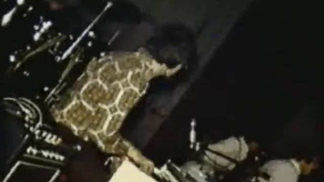 Manfred Mann im Jaguar-Club-Scala Herford '66 + '68 - (c) Siegmund Bischoff (SIMABI2) смотреть онлайн