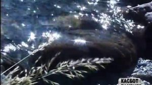 Марина. Касбот Тамбиев