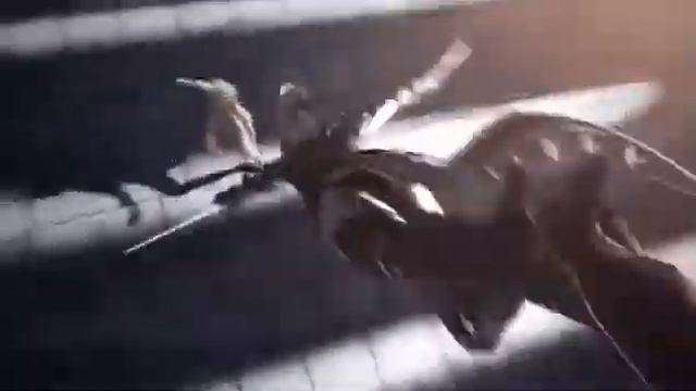 Lineage2 trailer PW vs AW - TX owned!) смотреть онлайн