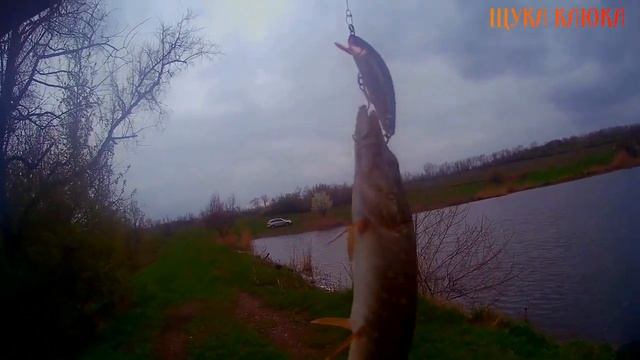 ОПАСНАЯ РЫБАЛКА. Весенняя щука на спиннинг перед грозой. Воблер Yo-Zuri 3D Inshore Minnow 90 F. смотреть онлайн