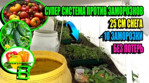 100% ЗАЩИТА ОТ ВОЗВРАТНЫХ ЗАМОРОЗКОВ ДО -16 ТОМАТОВ, ОГУРЦОВ И ПЕРЦЕВ. ЭКО-САД ВЫХОДНОГО ДНЯ 24-03