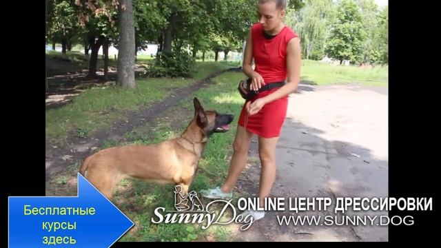 Делай То, Что Любишь