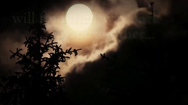 Unforgiven by B J Daniels (Book Trailer) смотреть онлайн